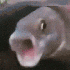 Avatar for jade436
