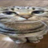 Avatar for Cikilolek