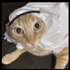 Avatar for Faux-
