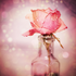 Avatar de ex_libris_