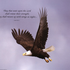 Eagles_Wing için avatar