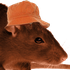 Avatar for TheOrangeHat