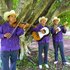 Avatar for Los Camperos de Valles
