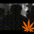 Avatar de haiti bon aire