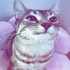 Avatar de Pugslyyyy
