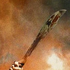Avatar de el-machete
