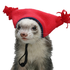 AlpacaPete 的头像
