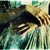 Shedding Feathers 的头像