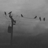 Avatar for SuicideForest33