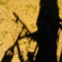 Avatar di multiplefrance