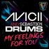 Avatar for Sebastien Drums & Avicii