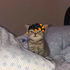 Avatar de Cold_D2