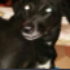 Avatar di teejay2424