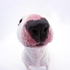 Avatar for happy_idiots