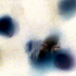 Avatar for Roisin1985
