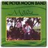 Avatar for The Peter Moon Band