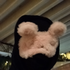 Girovani さんのアバター