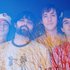 Avatar for Animal Collective