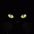 Avatar for patka_15
