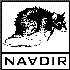 Avatar for naadirsalerno