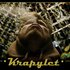 Avatar for Dissimilis Krapylet