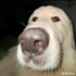 Avatar for vineslaw