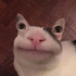 Avatar for SkittUs