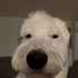 Avatar for reean77