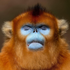 Avatar for LowBlowBoy