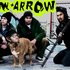 Bow+Arrow 的头像