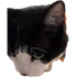 Avatar de Applepie1243