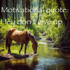 Avatar for HorseSaysNeigh