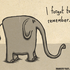 Avatar di pickledelephant