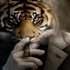 Avatar de Mickeymousshi