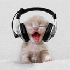 Avatar for D3L1L4H