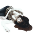 Avatar de rampagingdeers