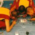 Avatar de Tibetan Buddhist Monks