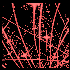 Avatar for Pothos4