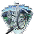 Avatar di bikeordie666