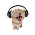 Avatar for Welasilo_Yola