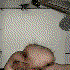 leftyspank 的头像