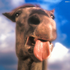 Avatar di nastag