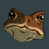 Avatar for Drackion