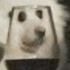 Avatar for humbletort