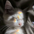 Avatar für whiteyellowboy