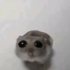 Avatar for leonsii