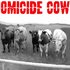 Аватар для Homicide Cows