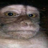 Avatar di danielsitooo