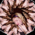 Avatar for giggles2312