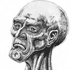 Avatar di Gore_Extirpator